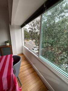 Dolphin Sands - flat barefoot walk to Coogee Beach