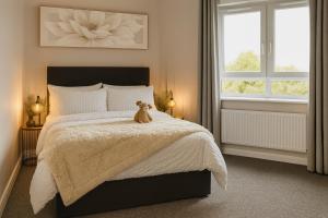 Hastings Apartments Extra Large Self Catering Apt Tourism Certified Free Parking WiFi - 4hvězdičkové hotely ve městě Belfast