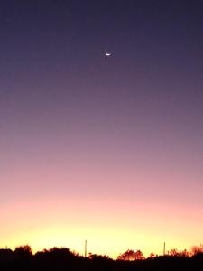 Acacias Punta del Diablo