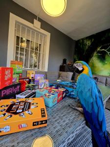 Casa Rural El Bressol