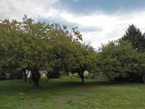 Maison Châtillon sur Loire - Peace and quiet