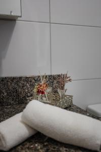 Blumenau Comfort Apartment