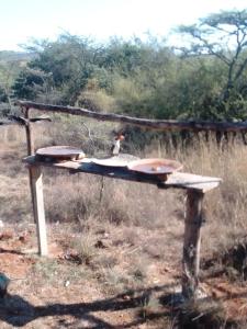 Ndege Mingi Bush Camp - Laikipia