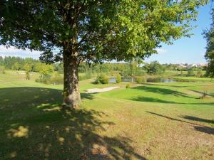 Maisons de vacances Spacious Holiday Home in Roussines with Private Pool : photos des chambres