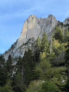 The Beauty of Torgon