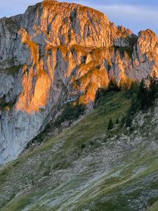 The Beauty of Torgon