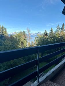 The Beauty of Torgon