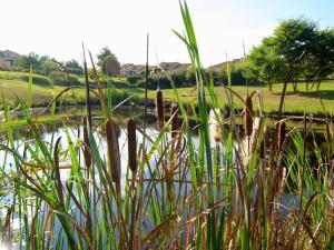 Maisons de vacances Lovely spacious cottage on a fine estate with a heated pool : photos des chambres