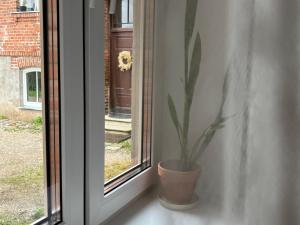The 7th Apartment