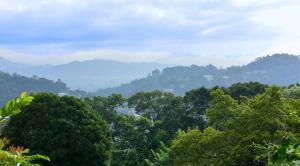 Thimira Mist - Kandy