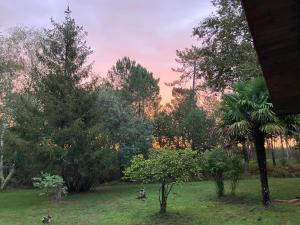 Maison en forêt, calme, proche village et piste cyclable - meublé 3 étoiles