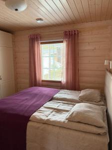 Villa Lumia, lomamökki Levillä