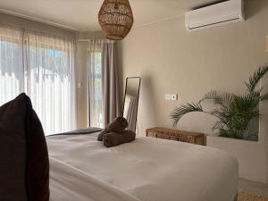 Kokon Boutique Guesthouse