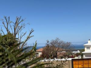 Kokon Boutique Guesthouse