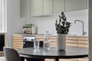 Modern Luxury Apartment