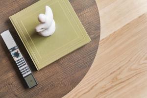 Modern Luxury Apartment