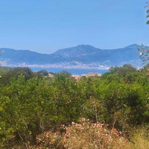 Appartement A Bella Vista