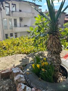 Didi Park House къща с две спални