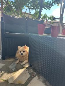 Didi Park House къща с две спални