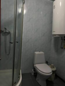 Дім-Садиба Озерел