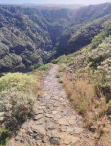 Apartamento Casa Olalla I