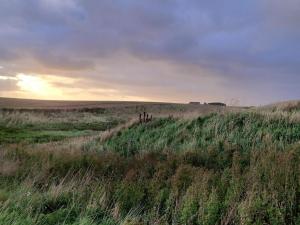 4 person holiday home in Lemvig-By Traum