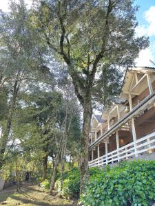 Gramado Apartamento com 2 suítes