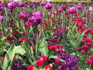 Kensington Olympia Apartments