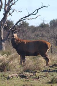 El Milo Hotel BoutiqueInclusive