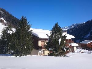 Grand appartement familial au pied des pistes pour 8 personnes - FR-1-342-150
