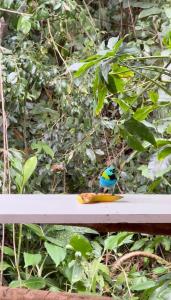 Prainha do Guaraú - Vista Mar - Pé na areia
