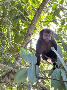 Prainha do Guaraú - Vista Mar - Pé na areia