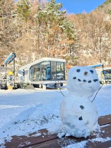 Galaxy X Hotel Type Caravan Glamping & Pension