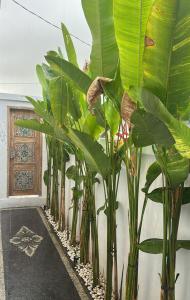 Casa Feliz Guest House