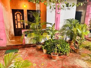 Blue Mirage Palolem Goa