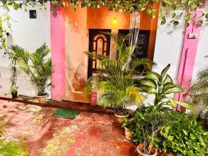 Blue Mirage Palolem Goa