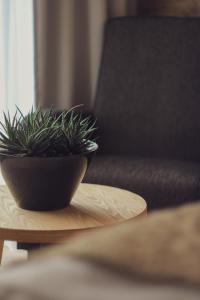 Pension Vzhůru nohama