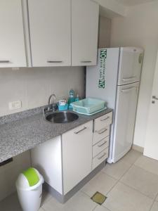 Departamento Barrio Constituyentes