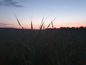 8 person holiday home in Rødby-By Traum