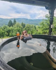 Vila Alpina Maramureș