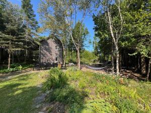 Boardwalk Pines at Tobermory