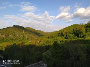 Ferienwohnung Harz Valley
