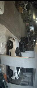 RadhaKrishna Executive