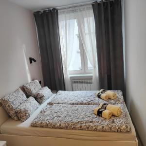 Apartament Krakowska