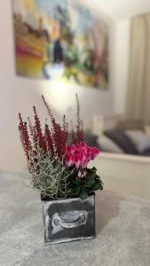 Moderne Ferienwohnung beim Augustinerkloster direkt in der Altstadt