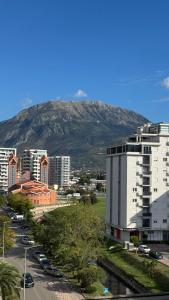 Апартаменты Ирина М