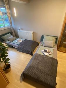 Villa-Maru 80qm Ferienwohnung