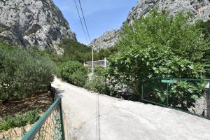 Apartments Petea Omis