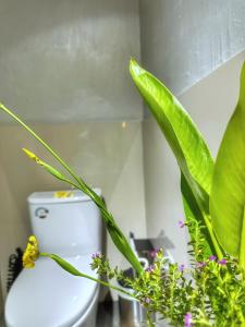 Villa Pondok Utu 3, Ubud - Bali -private pool