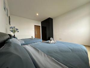 Modern Cozy Seaview Entire Suites 118 Island Plaza